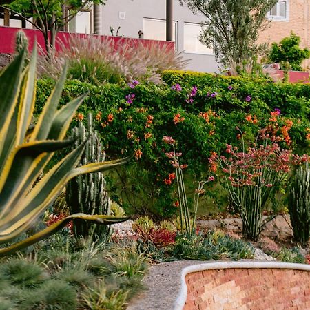 Terra Vista Aparthotel Guanajuato Eksteriør bilde